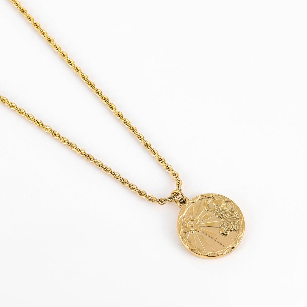 Zodiac Coin Necklace w/ Rope Chain