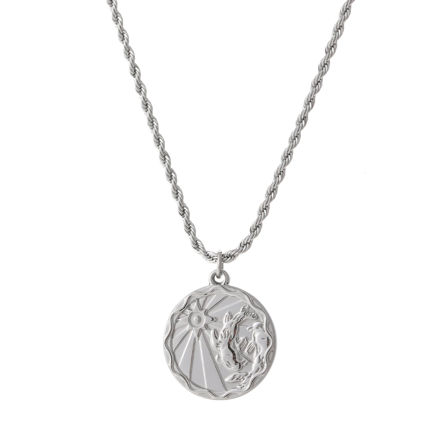 Zodiac Coin Necklace w/ Rope Chain