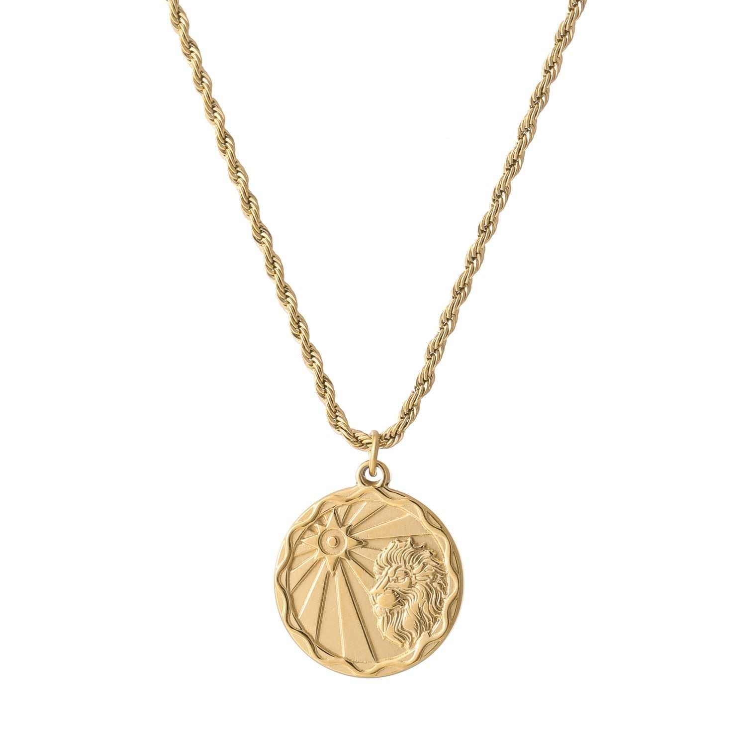 Zodiac Coin Necklace w/ Rope Chain