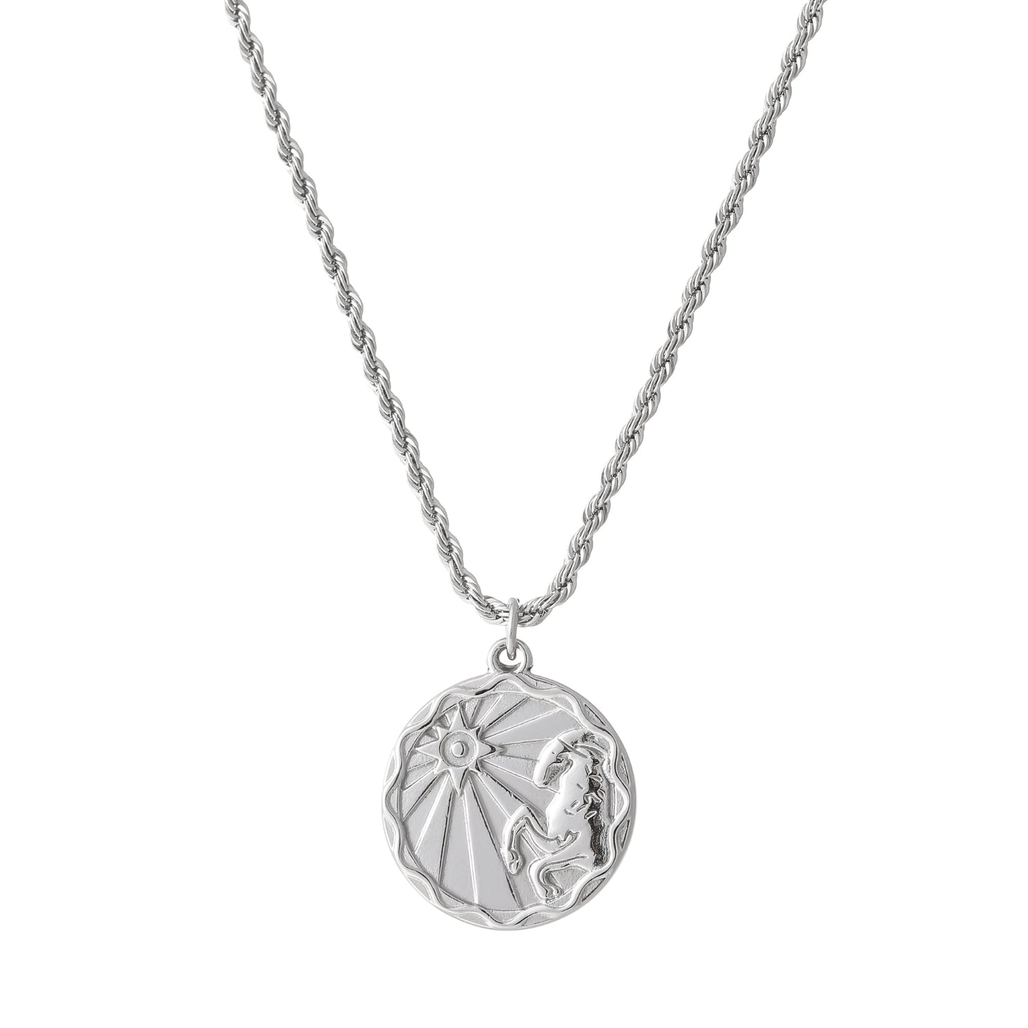 Zodiac Coin Necklace w/ Rope Chain